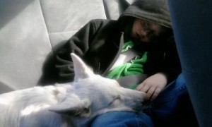 Gabe & Gideon asleep in car       
